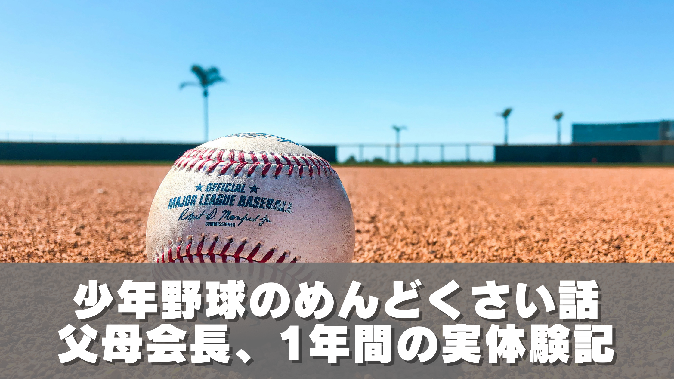 少年野球のめんどくさい話父母会長として過ごした1年間の実体験記